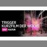 SRF lanciert Kurzfilmseite "Trigger – Kurzfilm der Woche"