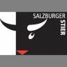 Der Salzburger Stier 2015 geht an Bänz Friedli, Simone Solga und Christoph & Lollo