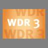 WDR 3: Kritik Kulturschaffender und Antwort des Direktors in öffentlicher Form
