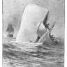 Der "HörPunkt-Vorlesetag": "Moby Dick" oder "Der Wal"